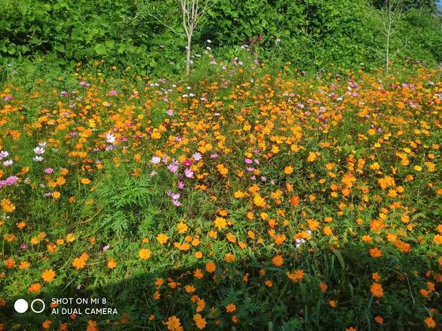 八一建军节战友石泉草池湾之游
