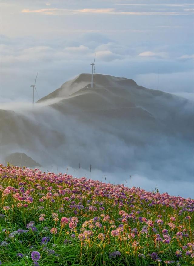 9~11月旅行推荐！全国13处绝美地上线“秋色限定”，现在计划刚好