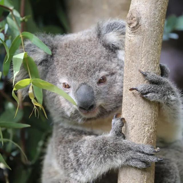 快查！你中奖了没