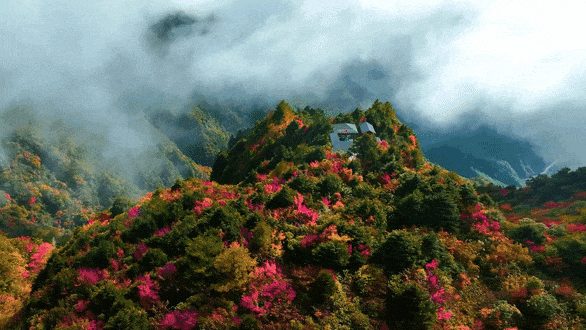 比成都好吃10倍！这座鲜有游客的川东小城，美食遍地，美景小众！