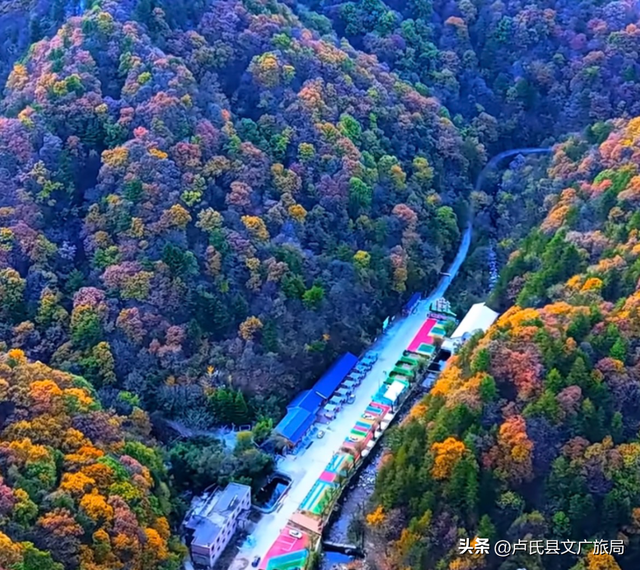 【文旅医养】马拉松之约已上线，卢氏景区福利来袭，跑就对了！