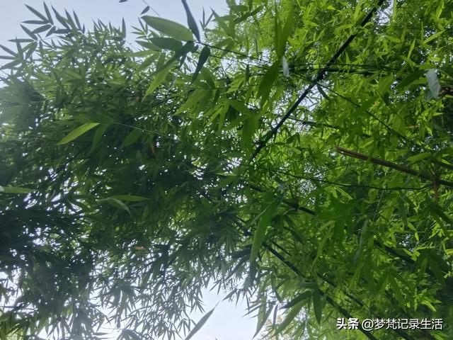 我最近热衷废墟游因为多少总会有收获,加油!我的胜利已近在眼前