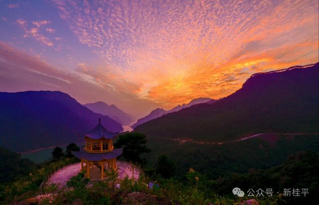 桂平半程马拉松选手看过来！文旅福利已就位，三大景点等你打卡～