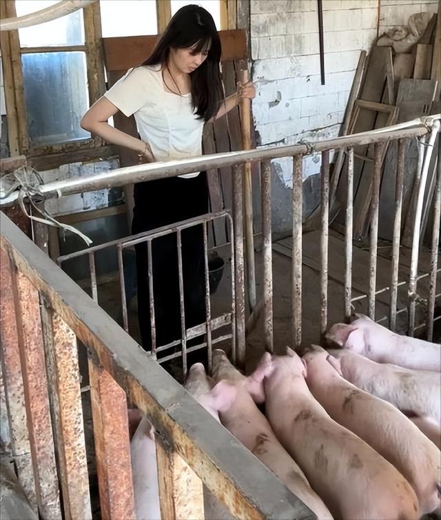 四川饲料大王首富变“首负”：欠了近千亿，一年光利息就要18亿