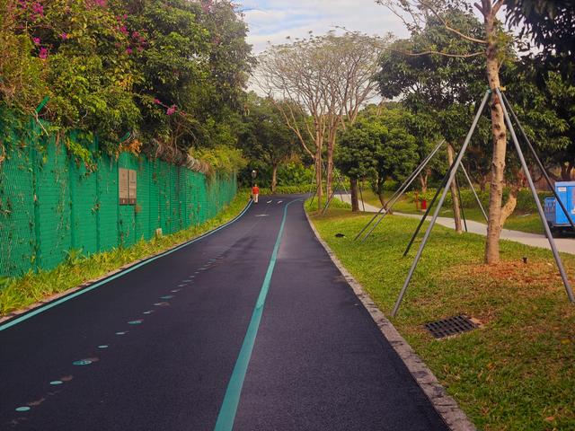 环西丽湖绿道骑行慢行随拍-动个好奇心