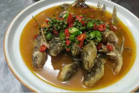 黄刺鱼图片
