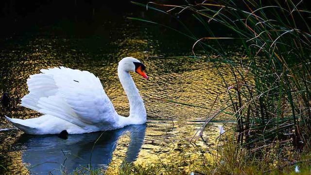 邂逅初冬！漫步郑州，在色彩斑斓中行走