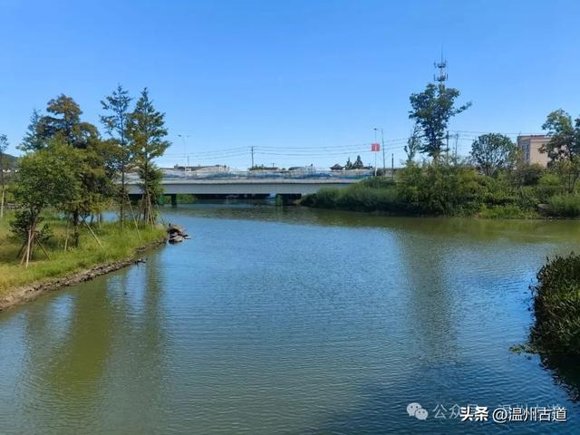 浙南最大的乡镇湿地公园原来在这里！
