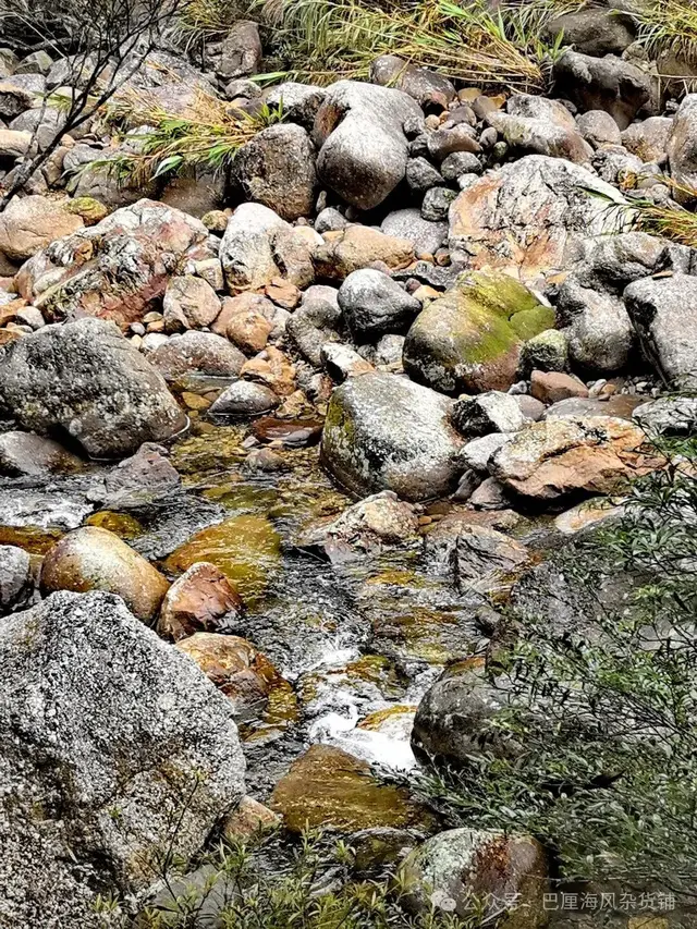 直下高原去海南（2）令人失望的十万大山国家森林公园