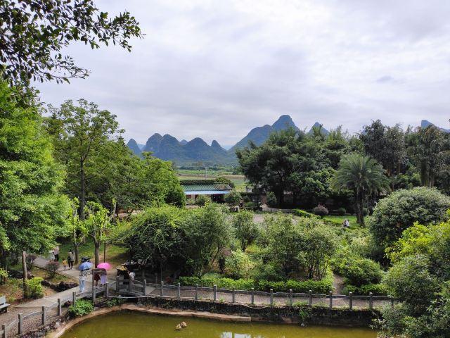 广西小众城市-贺州篇丨后悔没早发现这宝藏山水小城，适合短线游