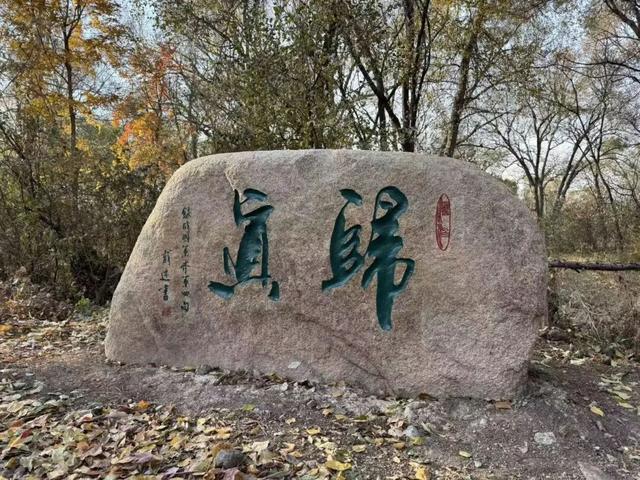 长春这里即将上新！明年开春去“寻宝”→