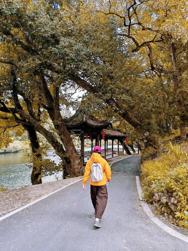 骑行赏枫、古村寻秋……被祁门的「枫景」治愈啦！| 皖美秋日
