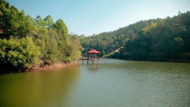 可惜你不听《枫》，不知道醴陵这片枫林到底有多美！