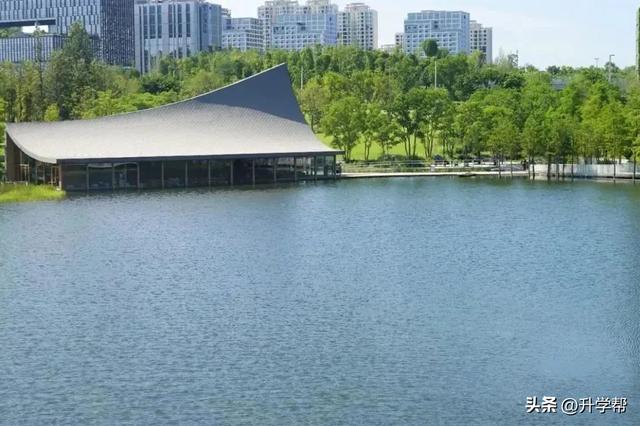 万亩花海盛放，兴隆湖又又美出新高度！
