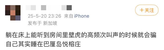 阻止我去巴厘岛旅游的唯一理由: