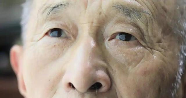 越吃眼睛越亮的4种食物，医生提醒：老年人每周吃几次，维护眼睛