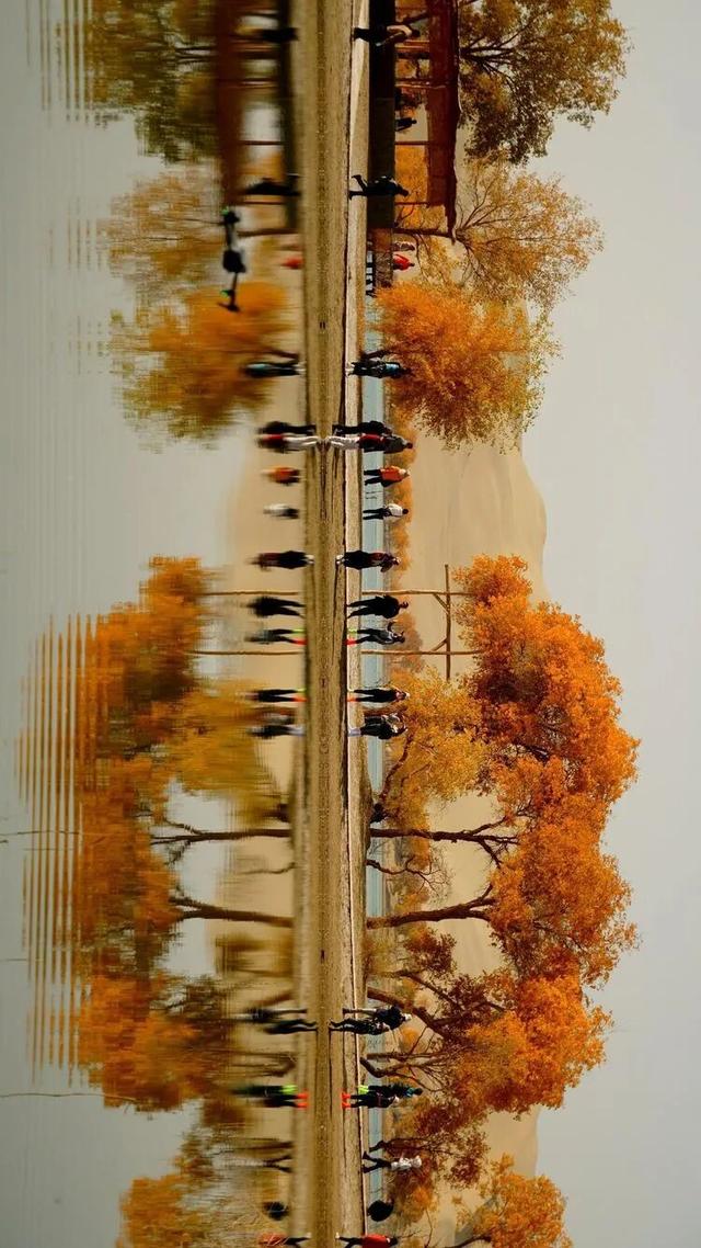 邢强 | 秋游南疆