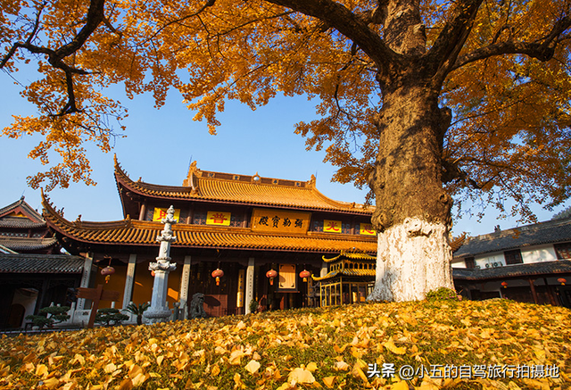 雪窦寺暴走攻略：弥勒大佛喊你摸头打卡！素斋面香到出家人破戒？