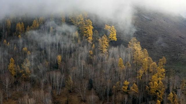 云雾缭绕 喀纳斯驼颈湾