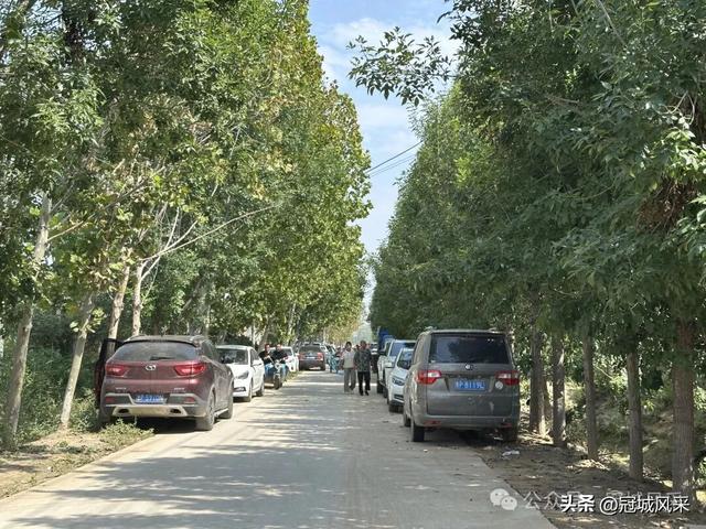 冠县乡韵·定远寨镇前杏园村