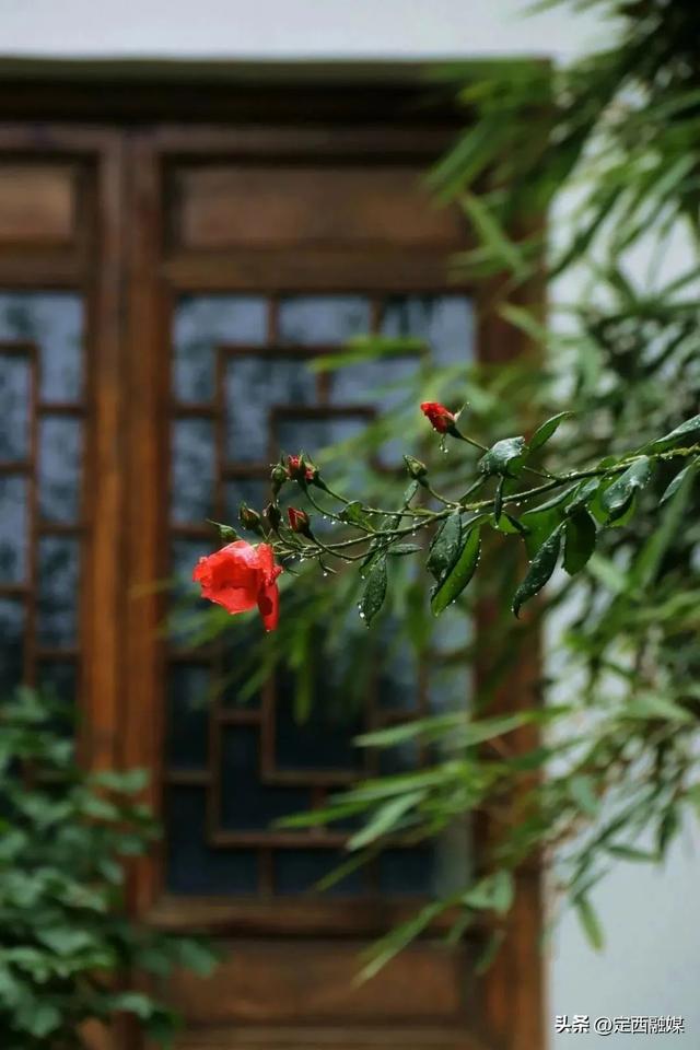 雨润临洮，秋光满故城