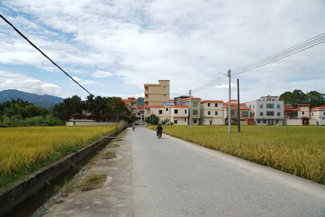 怀集这个“升级版”圩镇,太惊艳!