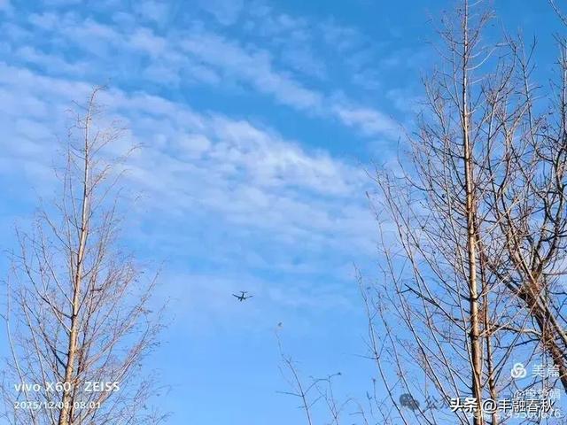 初冬北京朝阳坝河金盏淀:清寒里的静美画卷|申艳娟