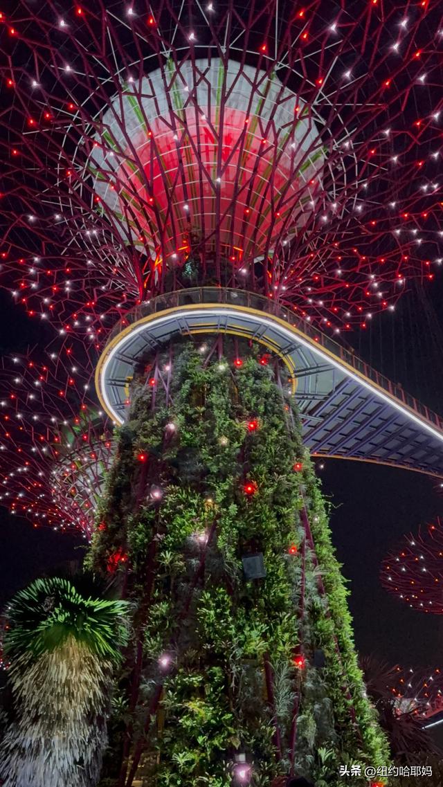 2025暑假 新加坡顺道游（二）