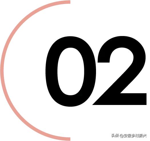 老登们，集体不行了