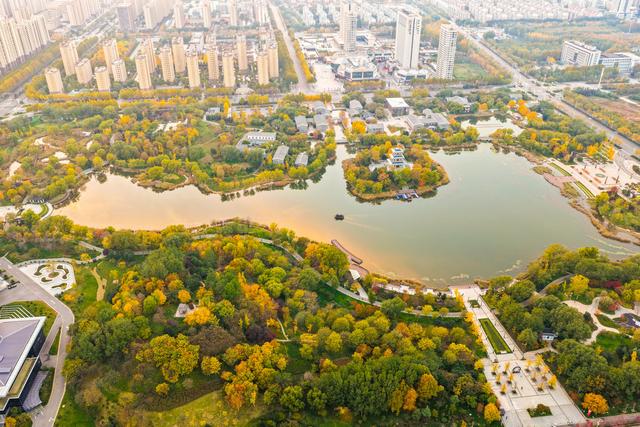 初冬访复圣文化园：与色彩和哲思对话