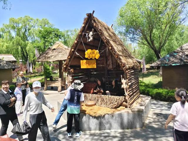 重阳敬老时！岱岳文旅邀你带长辈玩转金秋，登高赏秋、景区优惠都安排好了！