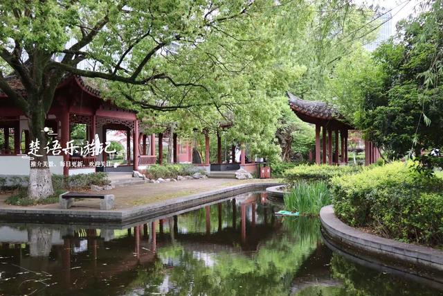 浙江宁波的古典园林式公园，毗邻火车站却被人忽略，景色相当秀丽