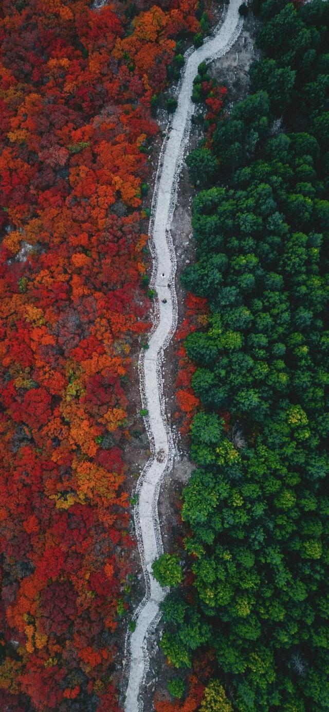新华社聚焦+国家地理推荐！济南蝎子山“鸳鸯锅”秋景太惊艳了！