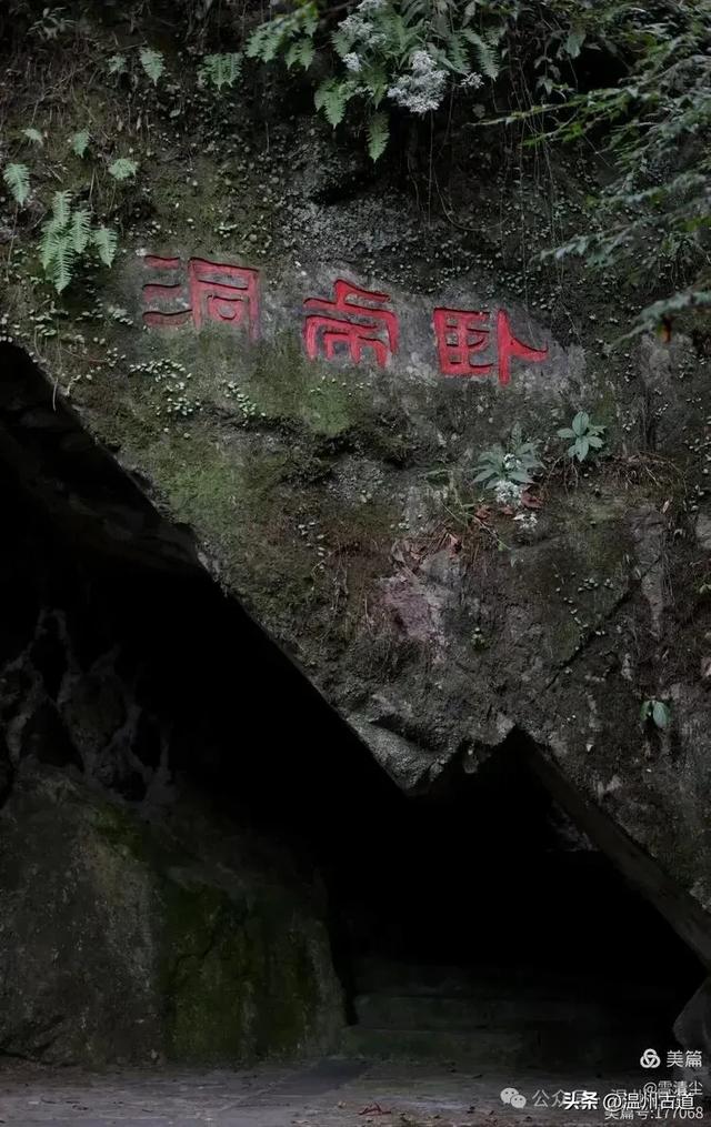 远上乌岩岭上斜,白云生处白云尖!温州这处秋日美景值得一去!