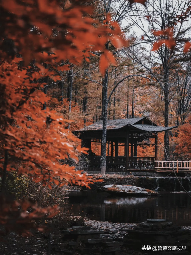 本溪：北国红枫深处的诗意秘境