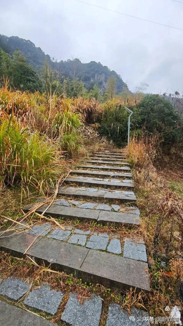 富春江边的风情小镇！可享隐世慢时光，还能徒步古道，值得一去！