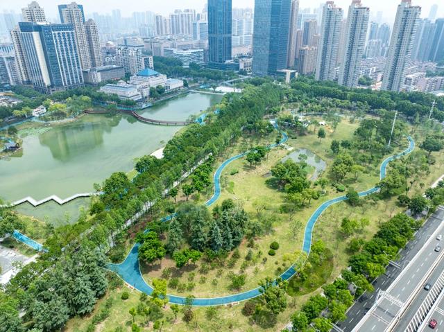 556米，玩一天！江汉这条林荫路越来越惊艳