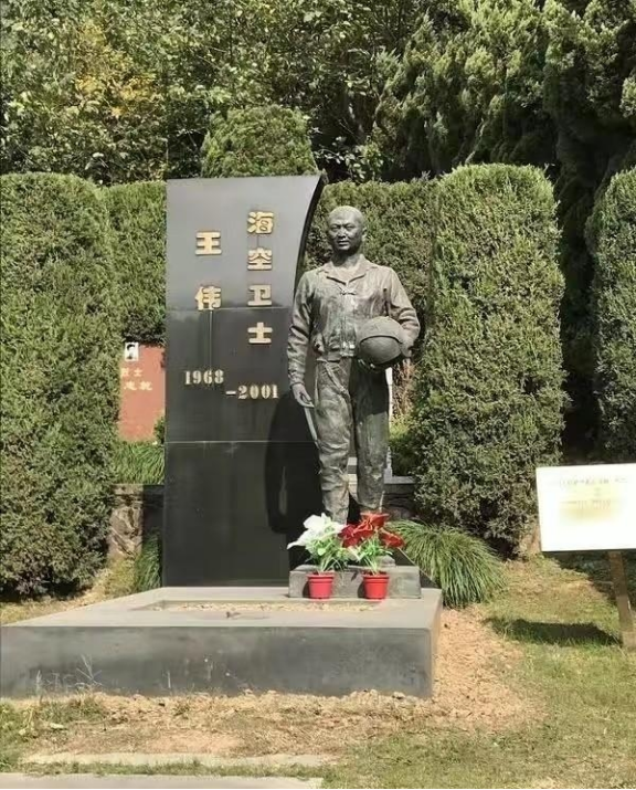 南海撞机王伟成功跳伞，为啥10万人都找不到他？直到20多年后才懂