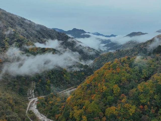 当唐家河“搬”进南京城：一场跨越千里的自然邂逅