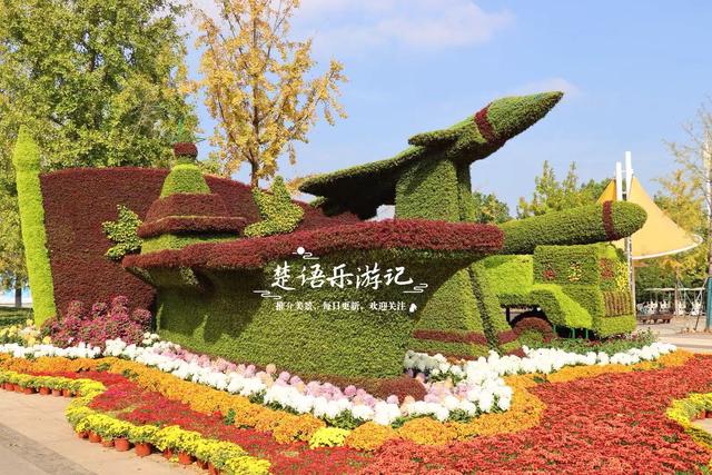 宁波这处风景进入最佳观赏季，秋菊叠影色彩缤纷，堪称秋日盛宴