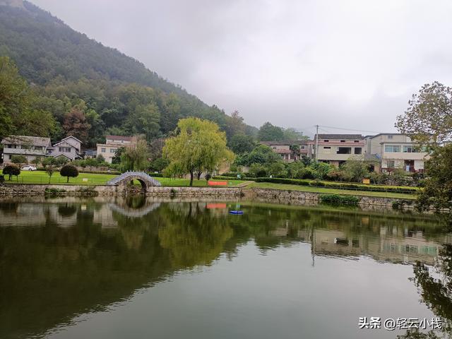 爬灵山石树感触到的（一）