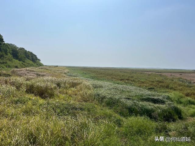 吴城“世界湿地，候鸟王国”