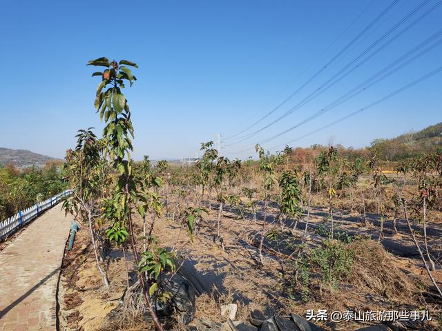 泰安：城西南有一个微缩的生态乐园，风光曼妙，带家人自驾好去处