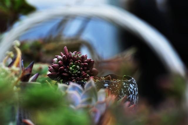 谁能想到，一辆平平无奇的大卡车，竟能上演一出“卡车变形记”