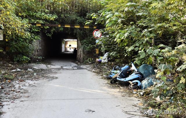 郑州：高铁公园这些共享电动车谁扔的