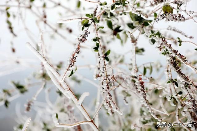 绝美!三江大塘坳惊现“琉璃仙境”!
