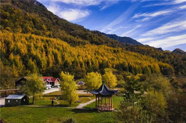 陇南冬春游重磅福利！四大门票优惠让你“超值”“玩美”游陇南