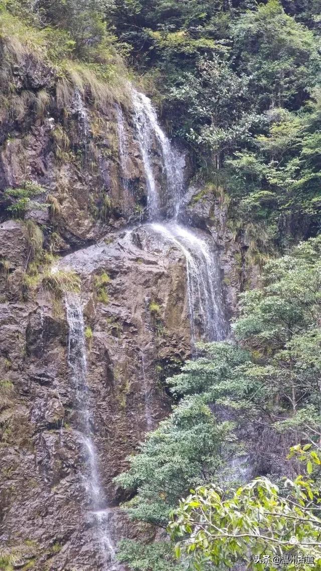 隐藏在温州深山幽谷的绿野仙踪,免费开放,知道的人却极少!