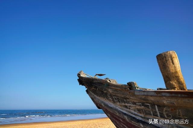 在河南长大的我去了趟山东日照，真羡慕当地人的生活，你们猜为啥