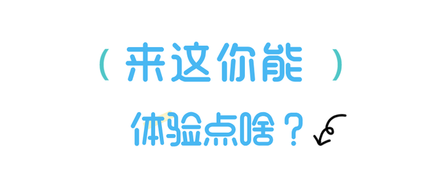东北亚博览会超好逛！来A2馆这个展厅别错过！